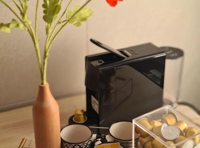 Nicores Bidasoa Irun